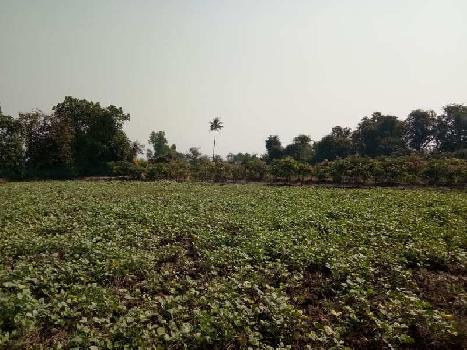 47 Guntha Agricultural/Farm Land for Sale in Roha, Raigad