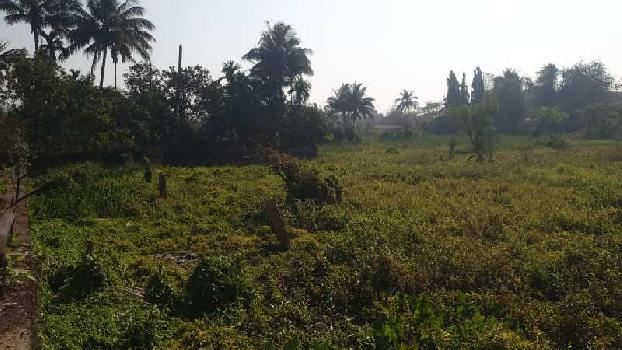 2 Guntha Agricultural/Farm Land for Sale in Roha, Raigad
