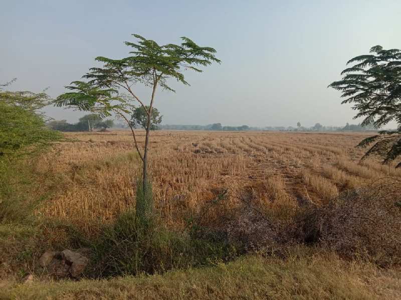 Form Land for Sale at Siddipet