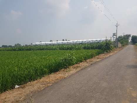 35 Ares Industrial Land / Plot for Sale in Chandigarh Road, Ludhiana