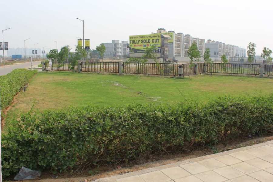 177 Sq. Yards Residential Plot for Sale in Sector 19, Dharuhera