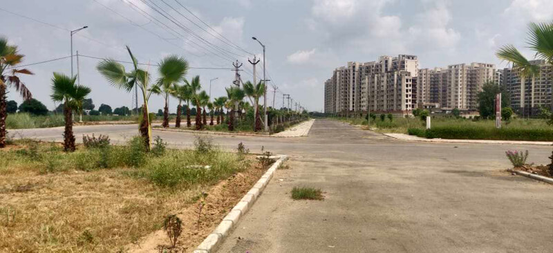 177 Sq. Yards Residential Plot for Sale in Sector 24, Dharuhera