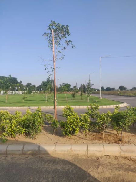 179 Sq. Yards Residential Plot for Sale in Haryana