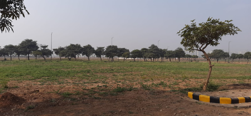 300 sq. Yard Plot on NH 919 in a plotted township
