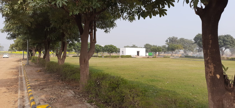 Residential Plot for Sale in Dharuhera, Rewari (450 Sq. Yards)