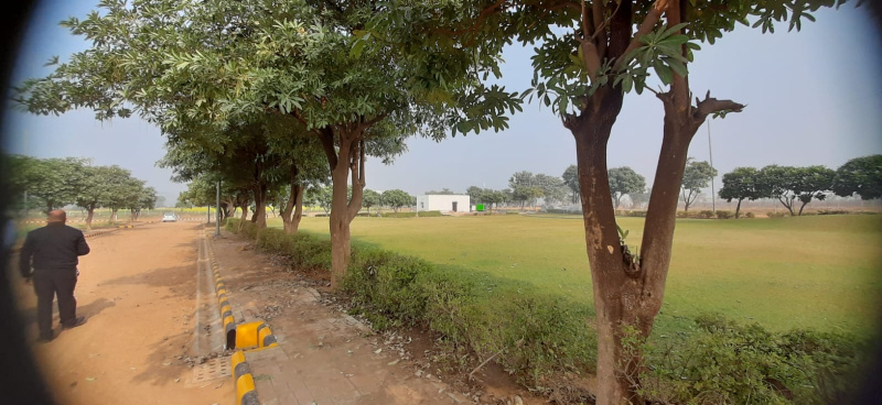 450 Sq. Yards Residential Plot for Sale in Sector 23, Dharuhera