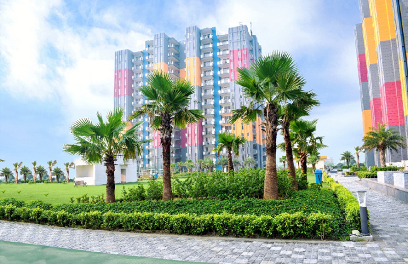 3 BHK Flats & Apartments for Sale in Sector 23, Dharuhera