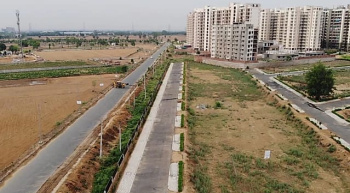 Residential Plot for Sale in Sector 19, Dharuhera (110 Sq. Yards)