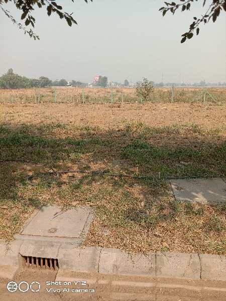 373.5 Sq. Yards Residential Plot for Sale in Sector 7, Dharuhera