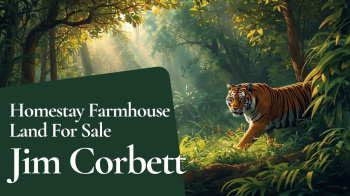 1BIGHA LAND FOR SALE IN UTTARAKHAND #jimcorbett #ramnagar