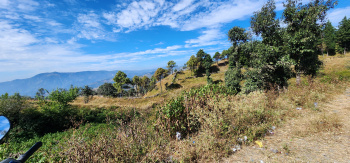 Land For Sale in Manila Almora Uttarakhand