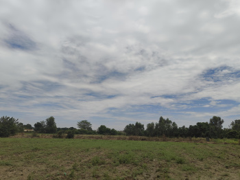 1BIGHA Land For Sale in Jim Corbett RAMNAGAR UTTARAKHAND