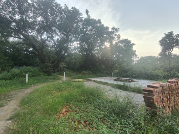 Residential Plot for Sale in Ramnagar, Nainital (6800 Sq.ft.)