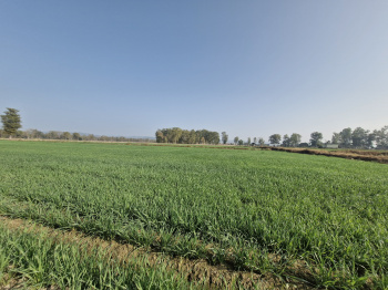 Property for sale in Ramnagar, Nainital