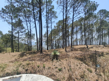 Property for sale in Manila, Almora
