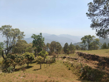 Land For Sale in Manila Uttarakhand