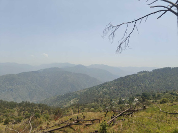 Property for sale in Manila, Almora