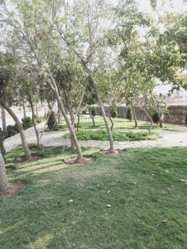 Property for sale in Kamal Vihar, Raipur