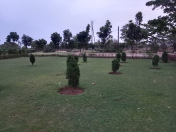 Property for sale in Datrenga, Raipur