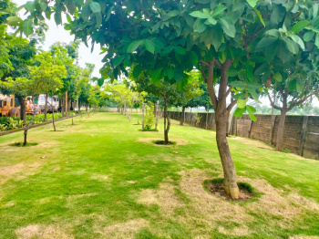 Property for sale in Datrenga, Raipur