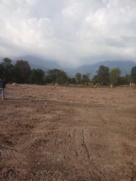 605 Sq. Yards Residential Plot for Sale in Dari, Dharamshala