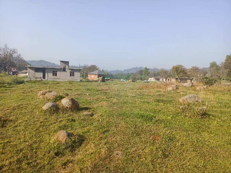120 Marla Residential Plot for Sale in Shahpur, Kangra