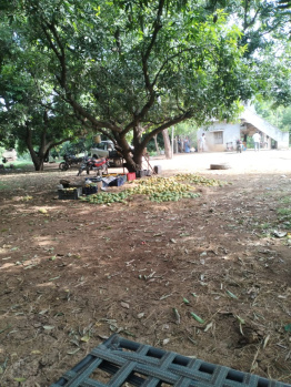 Residential Plot for Sale in Aminpur, Hyderabad (300 Sq. Yards)