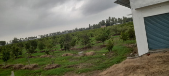 Residential Plot for Sale in Tellapur, Hyderabad (2 Acre)