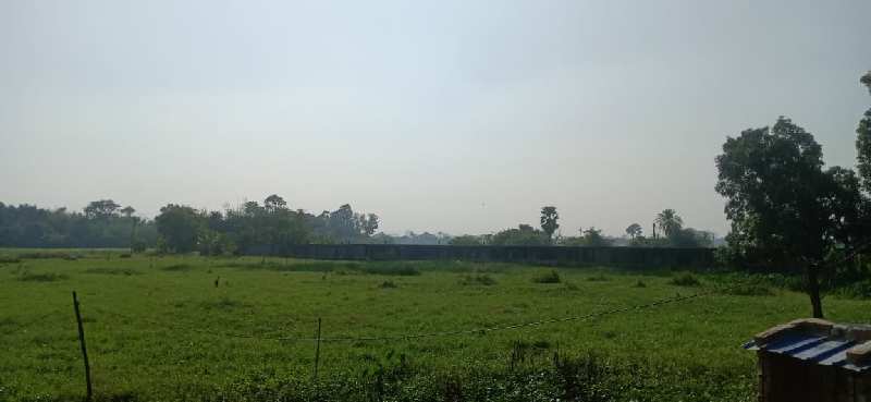 302 Sq. Yards Commercial Lands /Inst. Land for Sale in Rajarhat, Kolkata