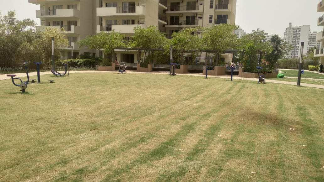 3 BHK Flats & Apartments for Sale in Sector 92, Gurgaon (1920 Sq.ft.)