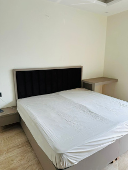 3 BHK Builder Floor for Rent in Sector 55, Gurgaon (190 Sq. Yards)