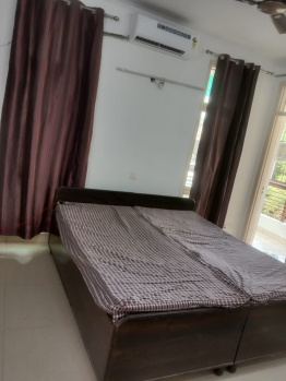 3 BHK Builder Floor for Rent in Sector 57, Gurgaon (263 Sq. Yards)