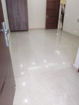 3 BHK Builder Floor for Rent in Sushant Lok Phase II, Gurgaon (300 Sq. Yards)