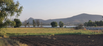 5 Acre Agricultural/Farm Land for Sale in Girnare, Nashik