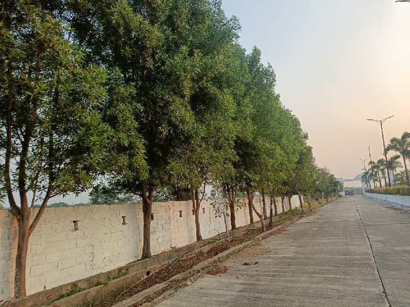 1184 Sq.ft. Residential Plot for Sale in Vidhan Sabha Road, Raipur