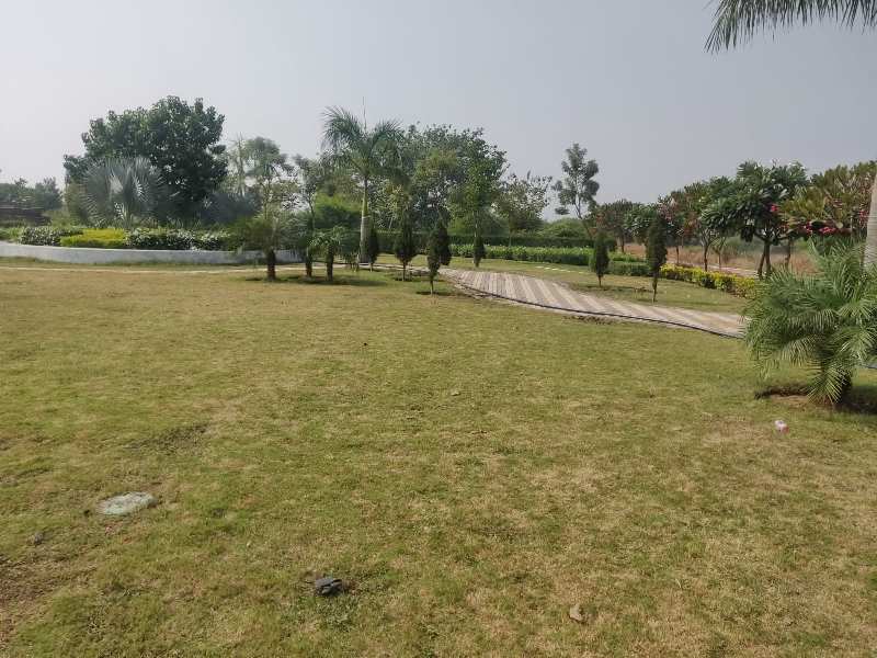 1790 Sq.ft. Residential Plot for Sale in Vidhan Sabha Road, Raipur