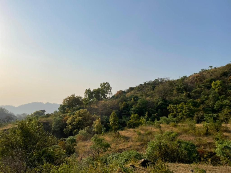 6.21 Acre Agricultural/Farm Land for Sale in Yamkeshwar, Pauri Garhwal