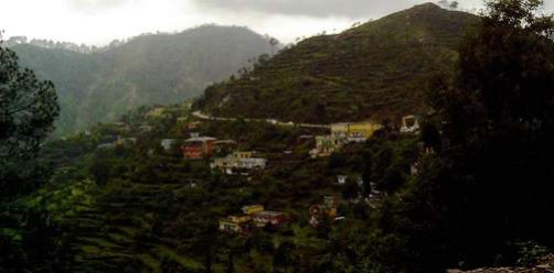 4200 Sq. Yards Agricultural/Farm Land for Sale in Lansdowne, Pauri Garhwal