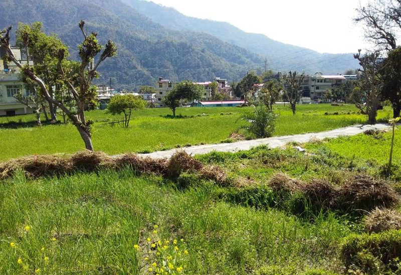 100 Sq. Yards Agricultural/Farm Land for Sale in Haridwar Road, Rishikesh (300 Sq. Yards)