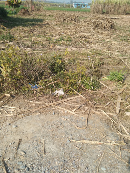 Plot for sale at chakjogowala ,chidderwala,Rishikesh.