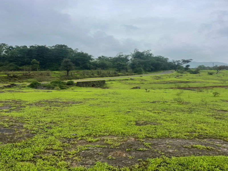 Farmhouse And Week End Home Plots For Sales In Bhor Area