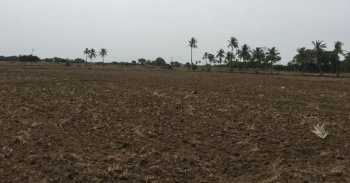 Property for sale in Themangalam, Nagapattinam