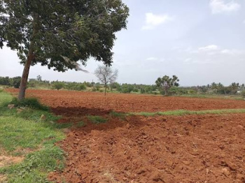 Property for sale in Panangudi, Nagapattinam