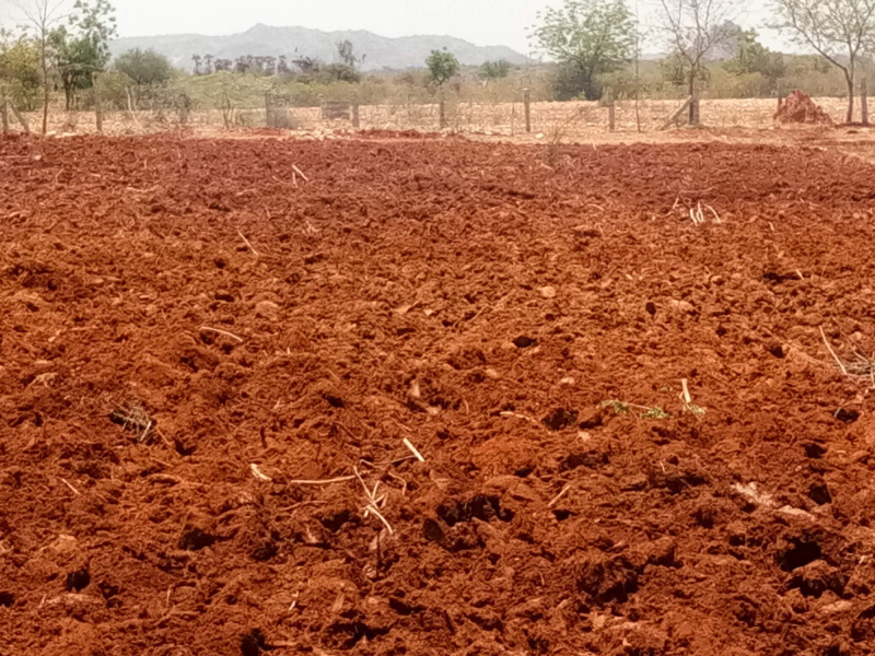 Agricultural/Farm Land For Sale In Bhuvanagiri, Cuddalore (5 Acre)