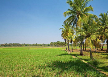 Property for sale in Agarakondagai, Nagapattinam