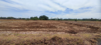 Agricultural/Farm Land for Sale in Thittacheri, Nagapattinam (2.30 Acre)