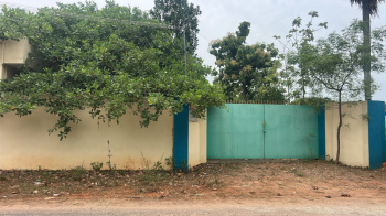 18500 Sq.ft. Agricultural/Farm Land for Sale in Auroville, Pondicherry