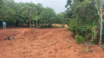 Property for sale in Auroville, Pondicherry