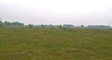 Agricultural/farm Land for Lease in Vasant Kunj