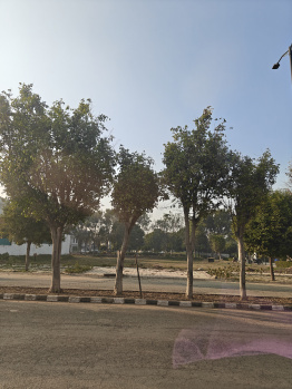 Property for sale in Kharar, Mohali